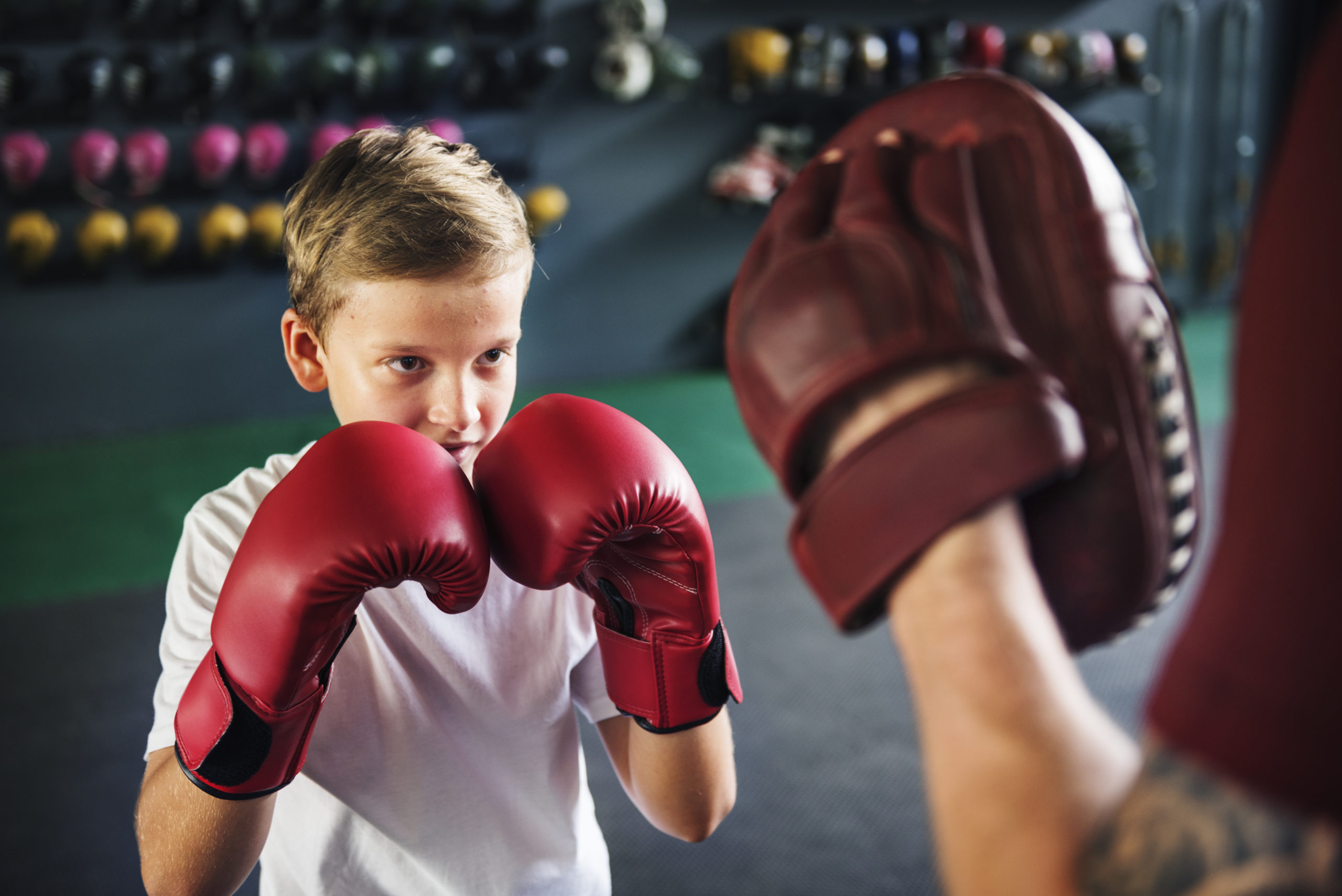 Boy Training Boxing Exercise Movement Concept